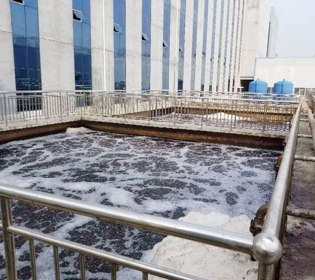產品名稱